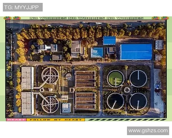 球类运动全景解析:探索各类球类运动的起源、规则及发展趋势